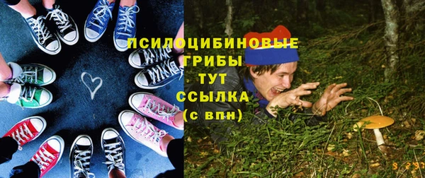 хмурый Нязепетровск