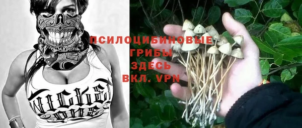 синтетический гашиш Няндома