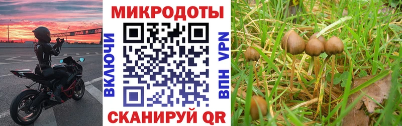 Купить  Облучье  Псилоцибиновые грибы ЛСД 